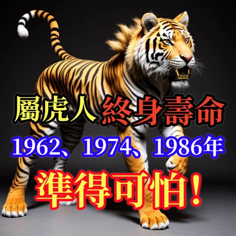 爐中火命虎|【爐中火命虎】1986年爐中火命屬虎命理大公開！富貴由天定？